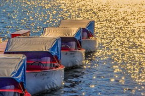 开云体育中国官网-“滚球竞技：成都三叉湖赛场带来全新体育体验”